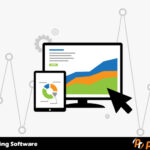 Sales Maximization by Dynamic Pricing and Price Monitoring